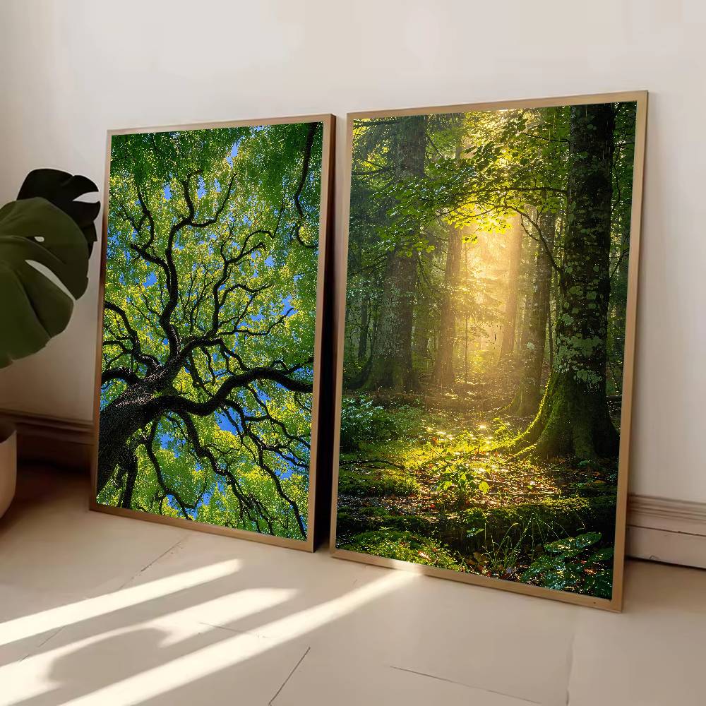 Sunbeam Wald-Natur-Poster, Grü – Wall Decor Lighting Tree Bewertung und Preis