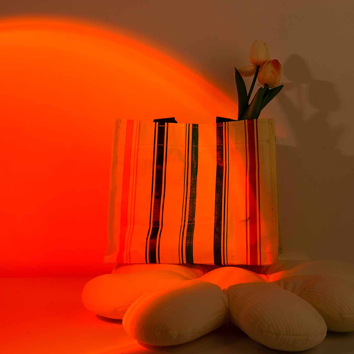 Sonnenuntergang-Projektionslic – Sunset Lamp Projection Bewertung und Preis