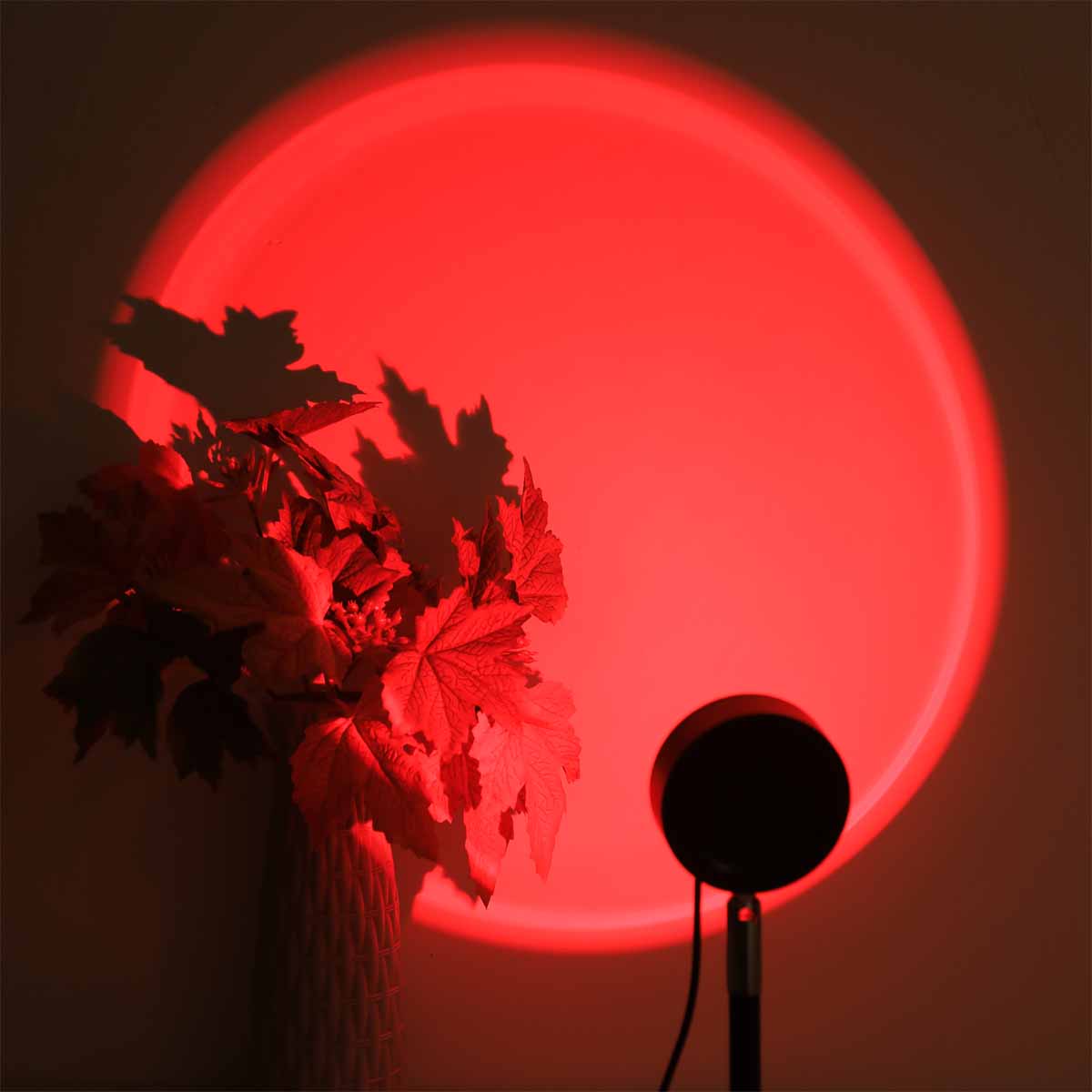 Sonnenuntergang-Projektionslic – Sunset Lamp Projection Bewertung und Preis
